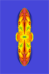 2D core collapse