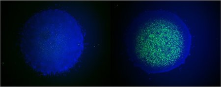 A dark blue circular shape on the left and a circular shape with green pinpoints on the right