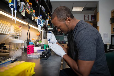 Christopher Barnes pipettes at a lab bench