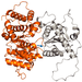 ribbonlike folded protein domains, one shown in orange, the rest shown in gray