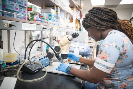 woman looks at egg under microscope