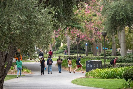 People walking around the Caltech campus.