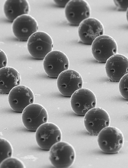 This scanning electron microscopy image of rows of the spherical hydrogel robots in this story clearly shows the two openings on each microrobot described in the piece.