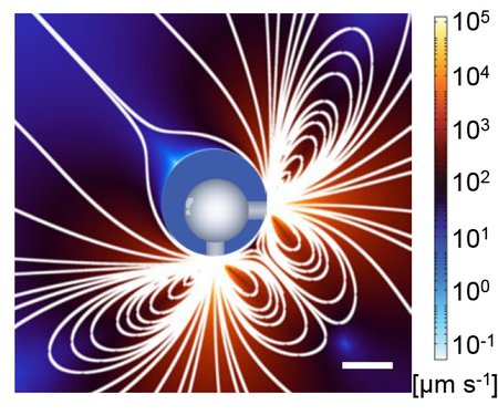 Flow patterns are shown emanating from two openings in a bubble.