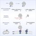 graphical summary of the mitochondrial protein co-translational import process