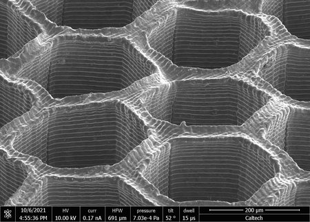 black and white microscopy image featuring layered hexagons