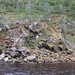 A field of rocks and boulders at the edge of a stream