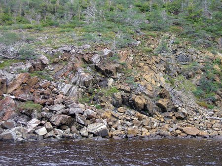 A field of rocks and boulders at the edge of a stream