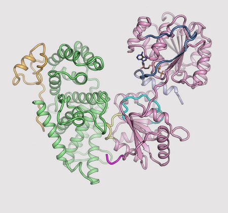 3-D structures of nuclear pore complex proteins