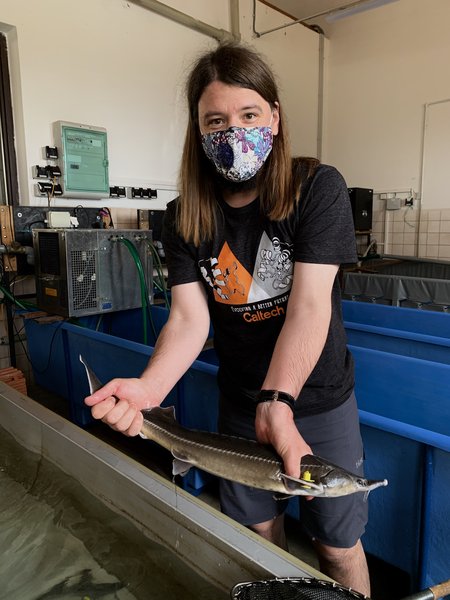 A person with a t-shirt and mask holds a foot-long fish