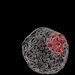 A round gray shape with a red inclusion