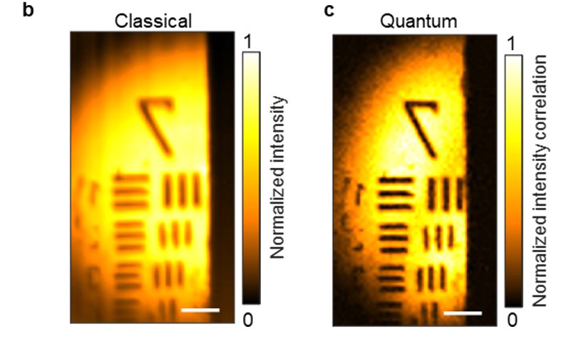 Side-by-side images produced by traditional microscopy and quantum microscopy. The quantum microscopy image has much sharper details.