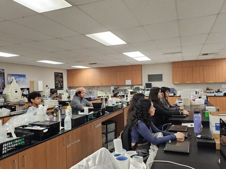 Several people at lab benches look across their equipment toward the front of the room.