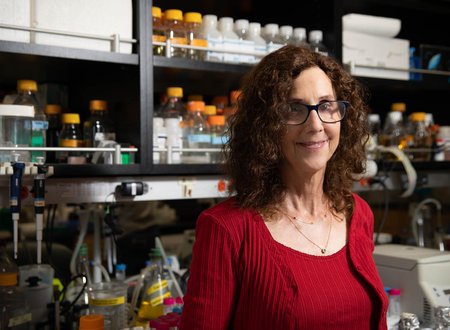 Portrait of Professor Pamela Bjorkman in her biology lab with flasks and pipettes behind her