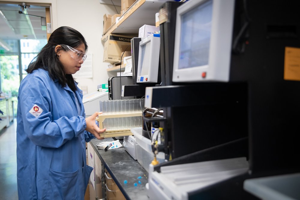 Chaw Soe doing research in the lab.