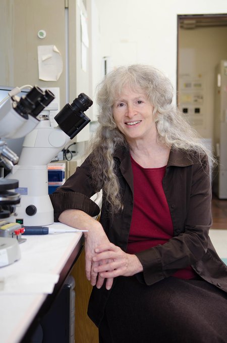 Caltech biologist Ellen Rothenberg