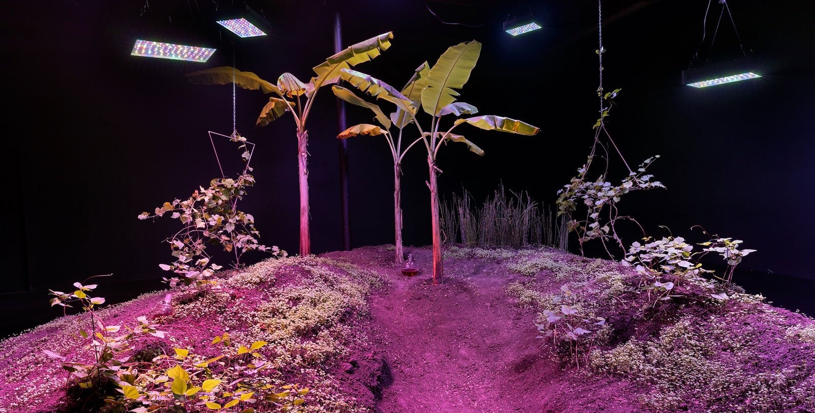Photo of an art installation exhibit by Jessica Segall.