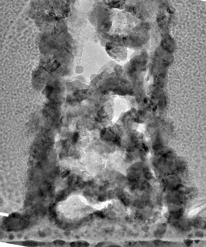 The irregular interior structure of a nanoscale nickel pillar. Voids and cavities are seen.