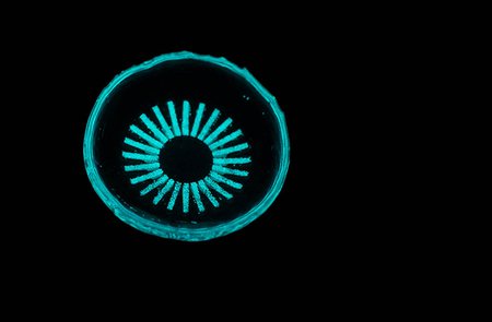 An image of a contact lens glowing in the dark.