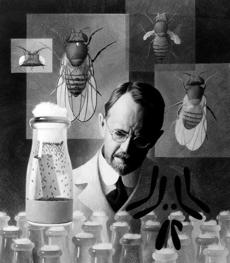 A person at a lab bench with illustrations of fruit flies