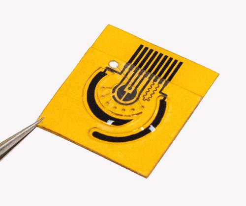 A pair of fine tweezers hold a device of thin amber-colored plastic and black electrodes.