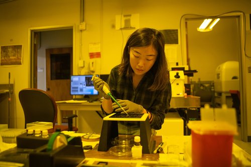 Mechanical engineering graduate student Wenxin Zhang works in the nano-fabrication lab. She holds a pipette and stands in front of a piece of benchtop equipment.