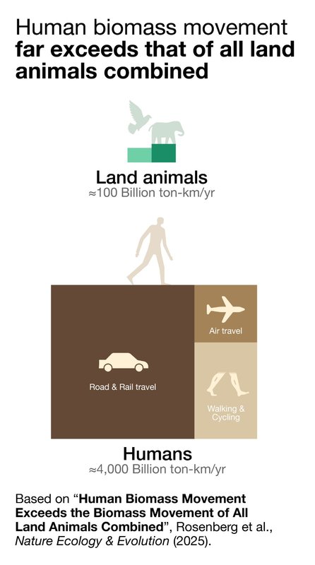 An infographic reading: Human biomass movement far exceeds that of all land animals combined