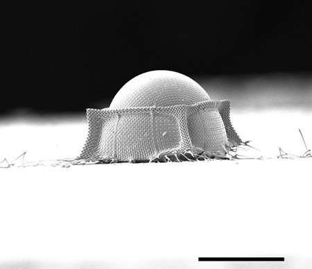 Gray dome-shaped object on a white and black background