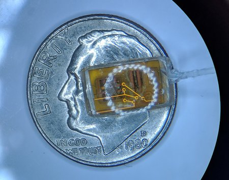 A new pressure-sensing implant for the eye on top of a dime for scale.